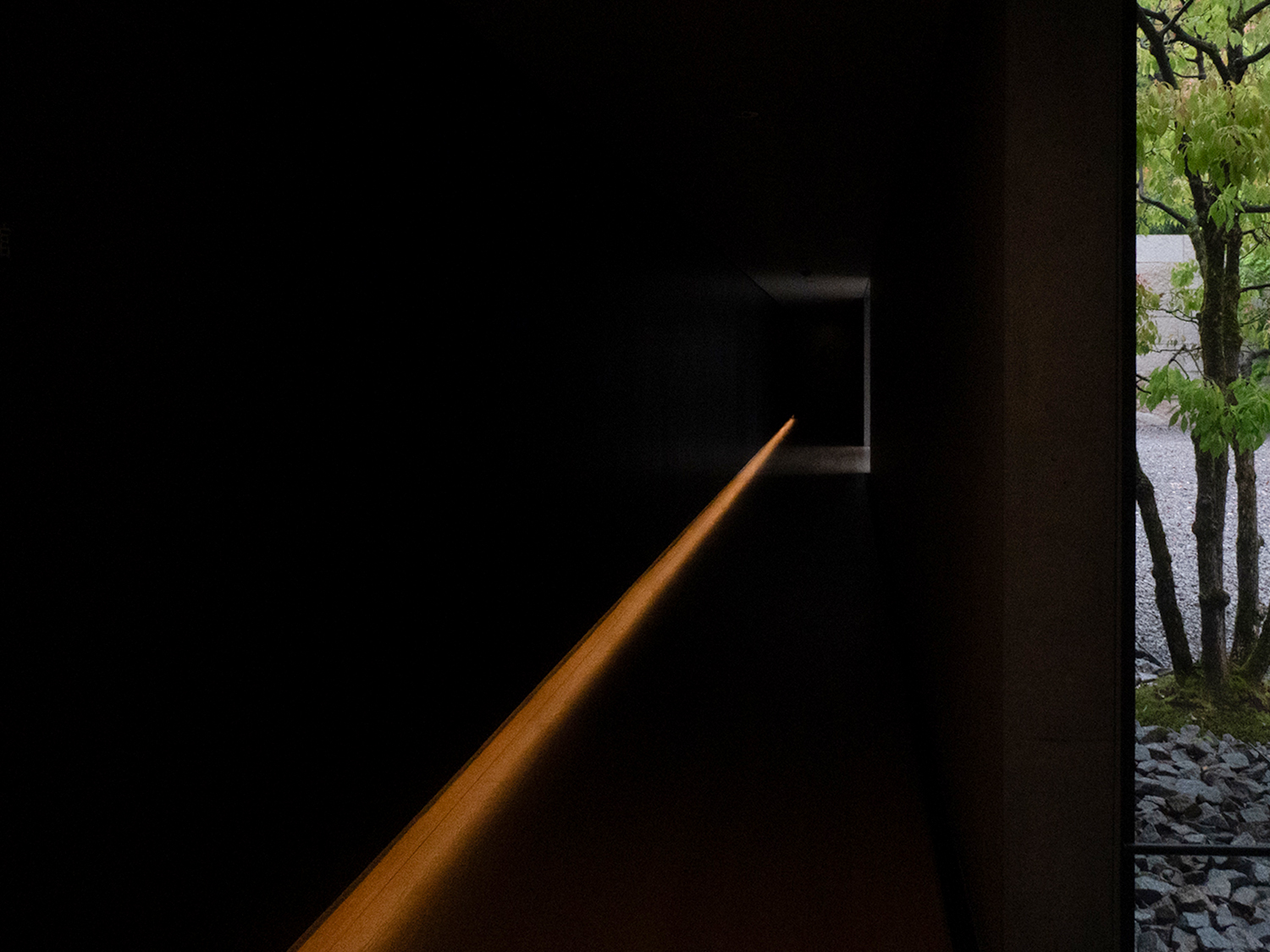 LINEA LUZ SUZUKI